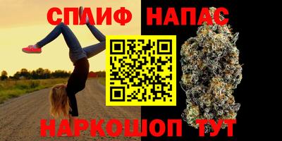 прущие грибы Пушкино