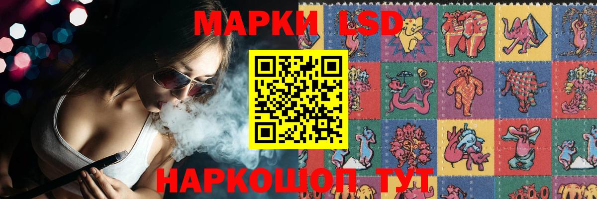 LSD-25 экстази  Вход с VPN  Сокол  Лсд 25 экстази кислота  Лсд 25 экстази кислота 