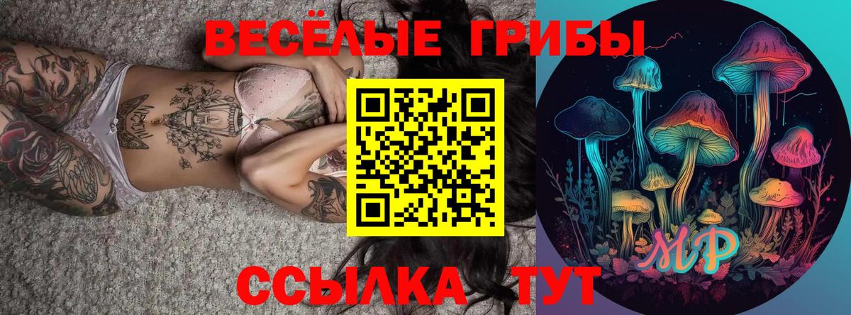 Псилоцибиновые грибы мицелий  Псилоцибиновые грибы Magic Shrooms  Вход с VPN  Сокол 