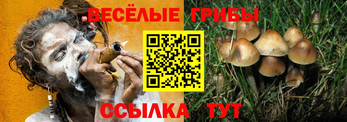 Галлюциногенные грибы прущие грибы Сокол