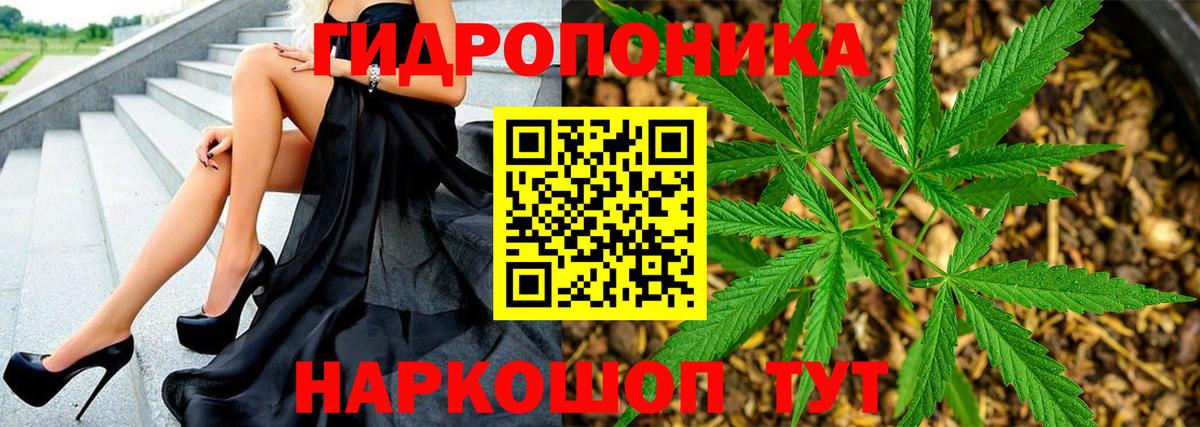 Бошки Шишки сатива  Вход с VPN  Конопля OG Kush  Марихуана LSD WEED  Сокол 